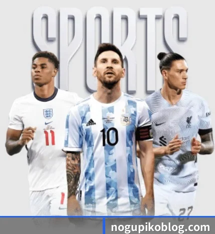 五大服务分区,信息按项目分类